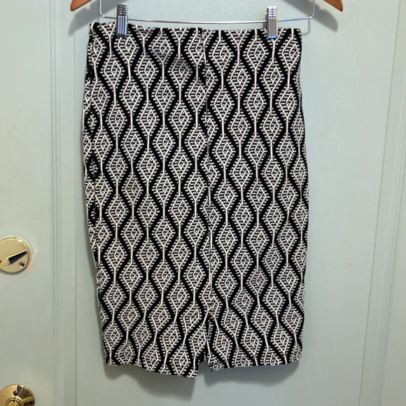 Zara Trafaluc Skirt - Picture 3 of 3